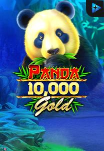 Panda-Gold-10.000